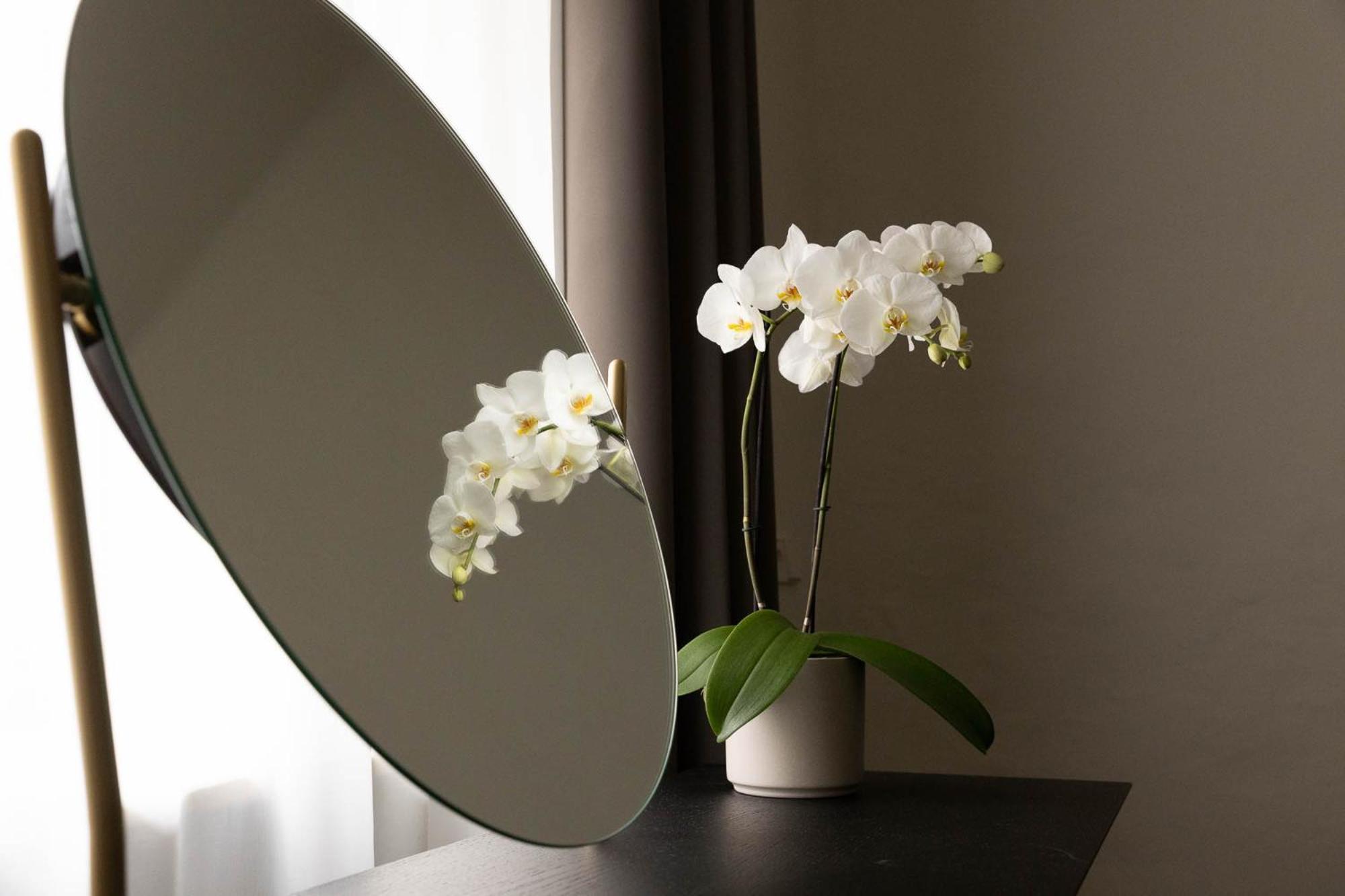 Ansitz Battisti Suites (Adults Only) Caldaro Esterno foto