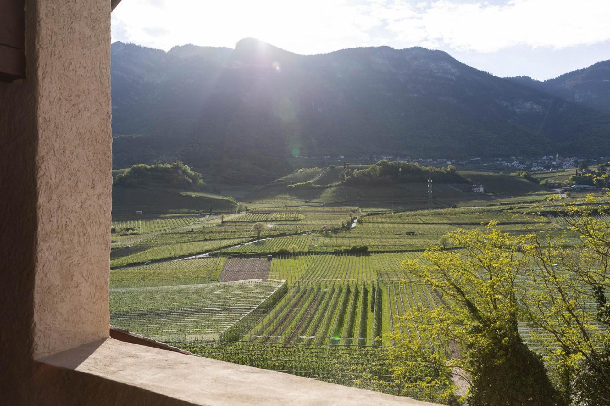 Ansitz Battisti Suites (Adults Only) Caldaro Esterno foto